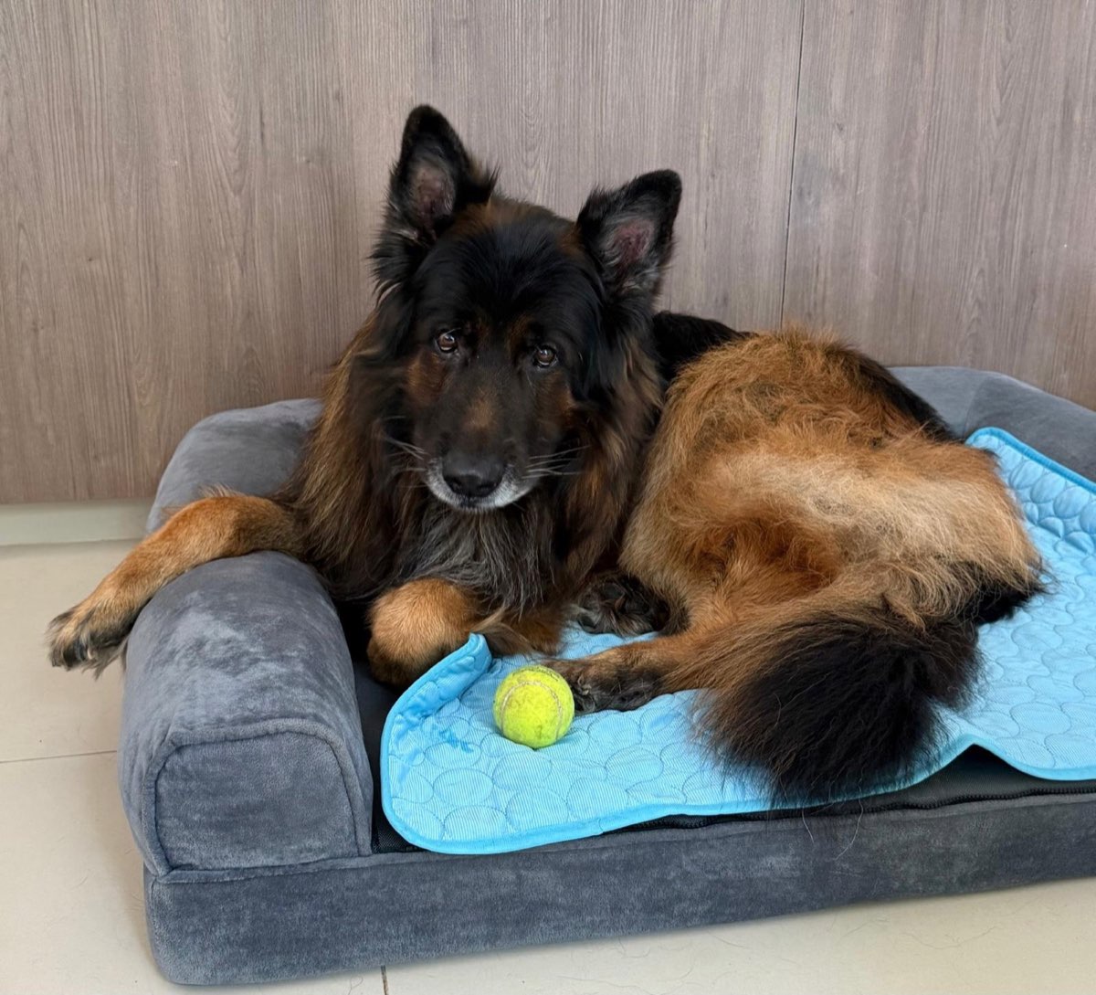 Darko with his two balls